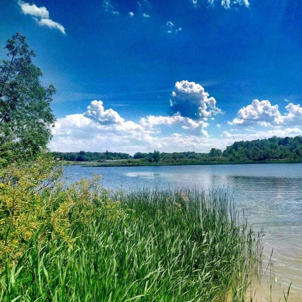 "Лето на Волге" Ярославская область