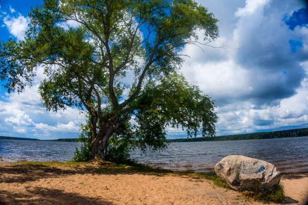 Солнце берег реки