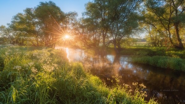 Летний пейзаж
