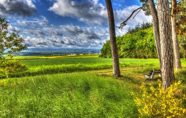 Сурские просторы поля лес дорога