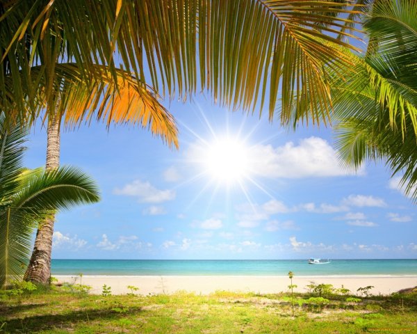 Лето дорога