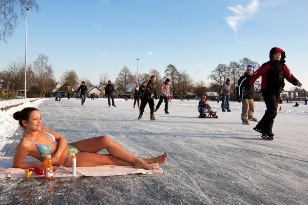 Кот в зимней одежде