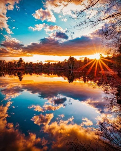 Шикарная природа