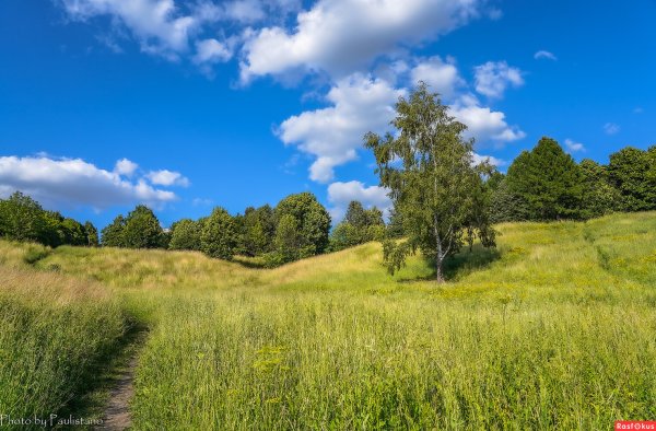 Красивая природа