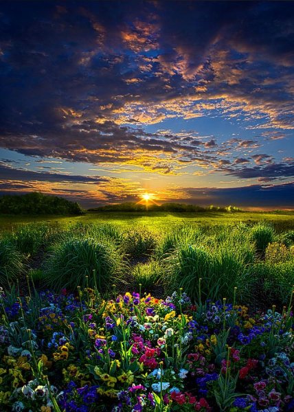 Картина природа