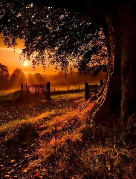 Красивый пейзаж