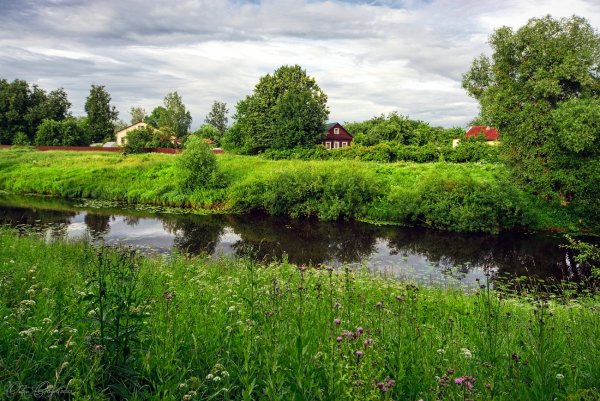 Красивая природа