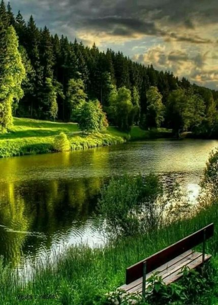 Рассвет на Поляне