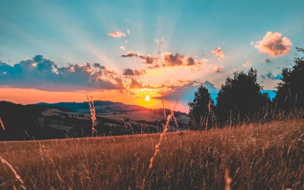 Красивая природа