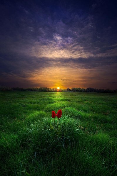 Природа тропинка