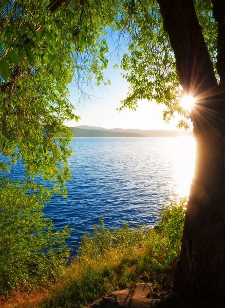 Пейзаж сельской местности