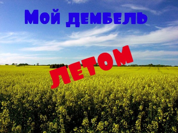 Дембель в июле