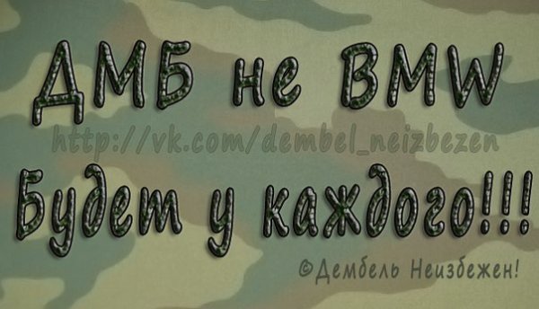 Встреча ДМБ из армии