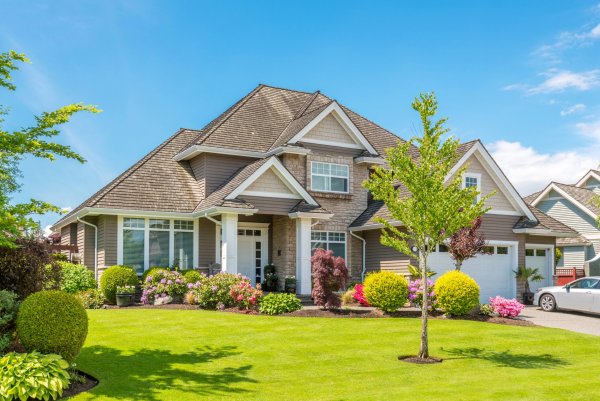 Лесное озеро Солнечногорский район