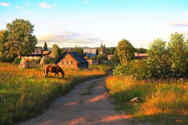 Летнее утро в деревне