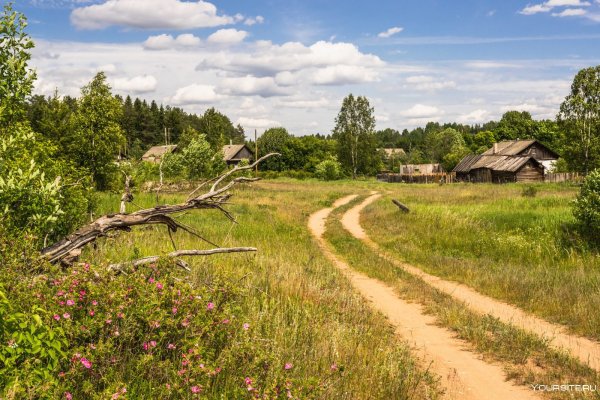 Река Вышний Пенская деревушка