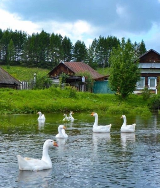 Лето в деревне