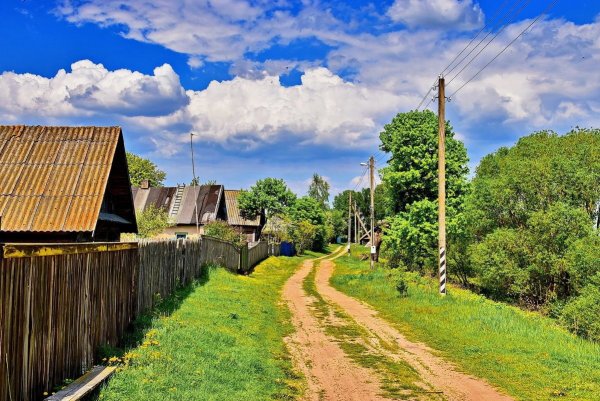 Летняя природа в деревне