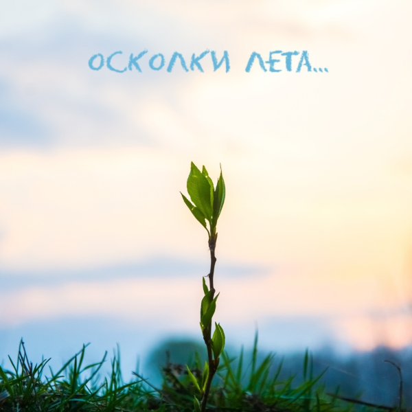 Осколки лета Cover