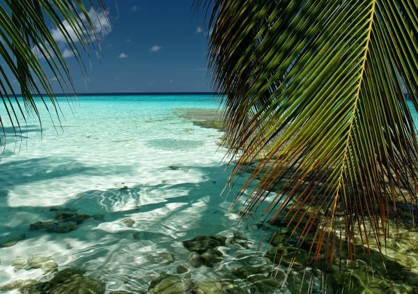 Бора Бора