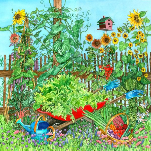 Социальный проект добрый огород