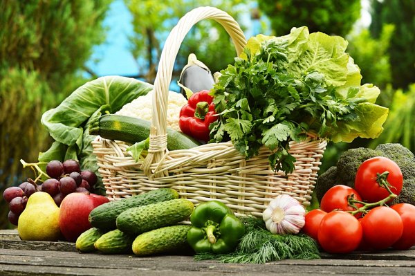 Рисование овощи на грядке