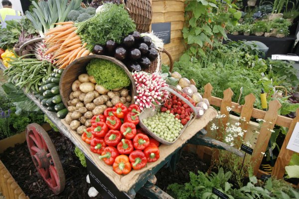 Сбор урожая