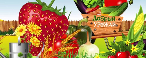 Цветы в огороде