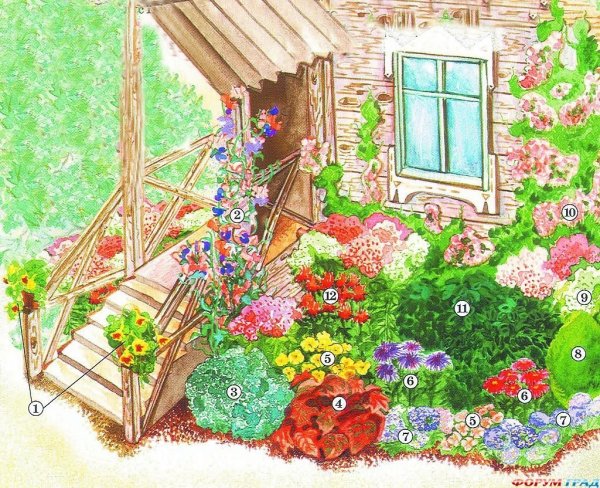 Французский огород Зоя Козичева