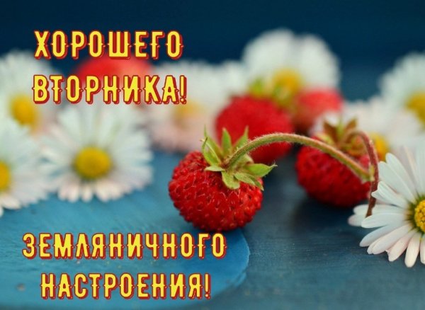 Доброе утро вторника