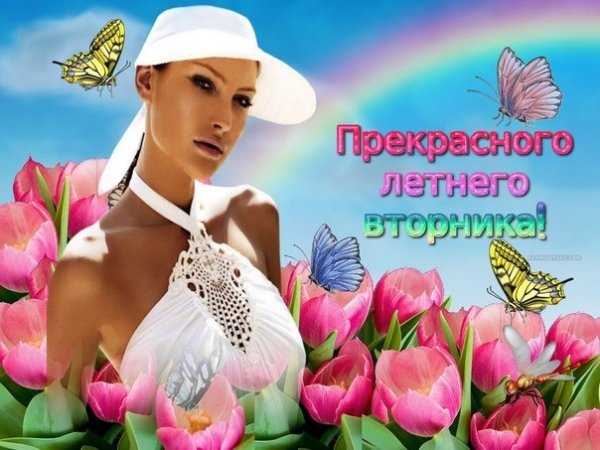 Открытки доброго летнего вторника