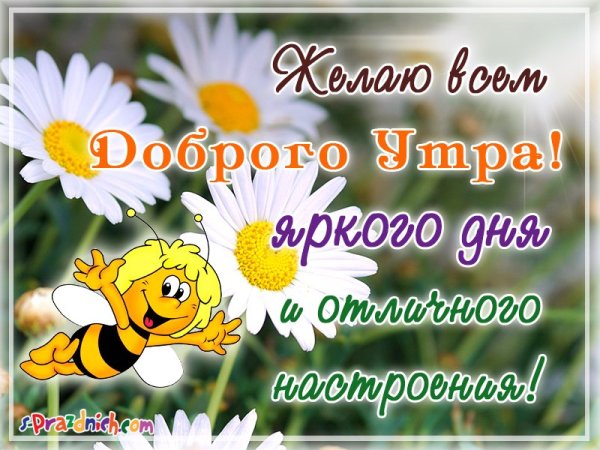 Красивые пожелания с добрым утром семье