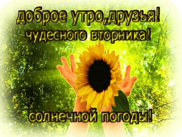 Доброе утро вторника