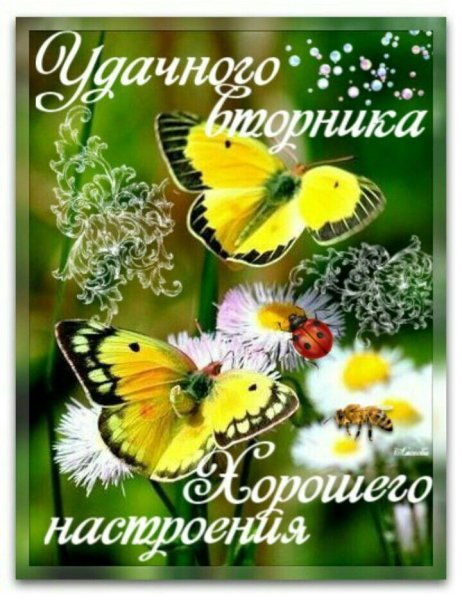 Открытки с весенним вторником