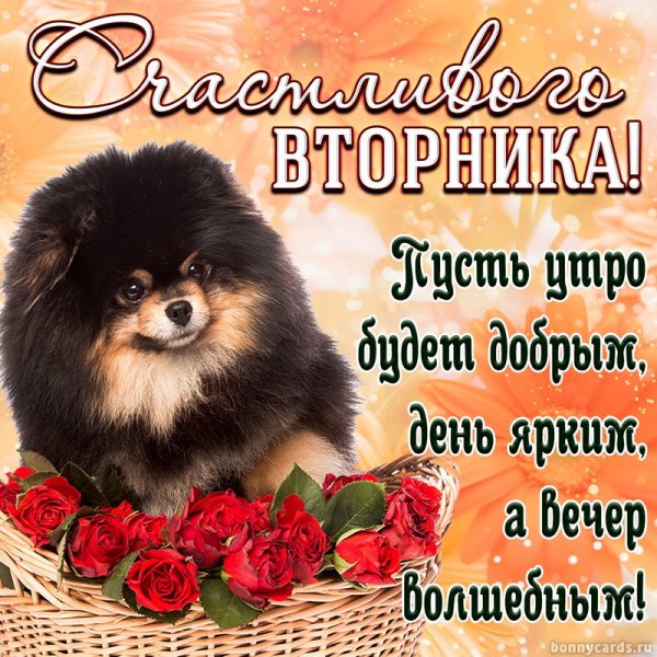 Открытки с добрым утром вторника