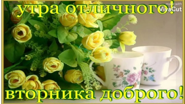 Доброе Июльское лето вторника