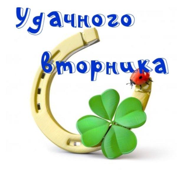 Доброе утро вторника красивые пожелания