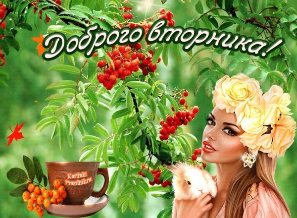 Доброе утро вторника