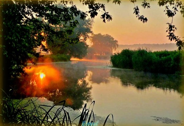 У реки на зорьке