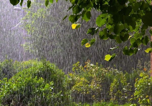 Летний ливень