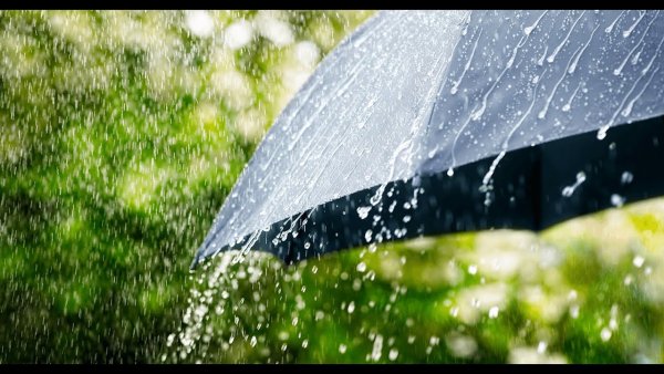 Дождь летом