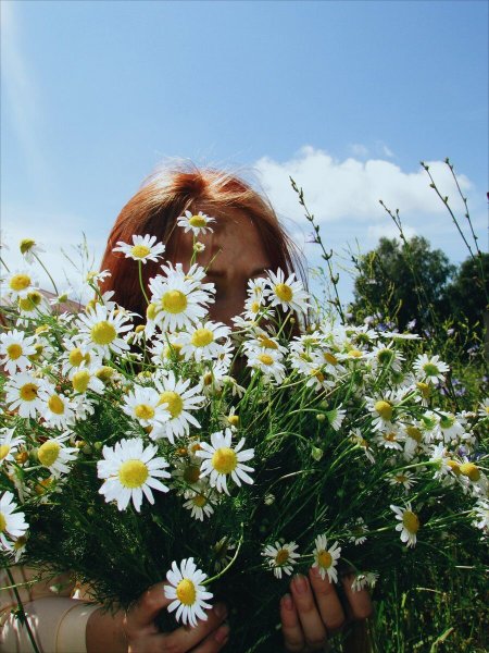 Девушка в ромашках спиной