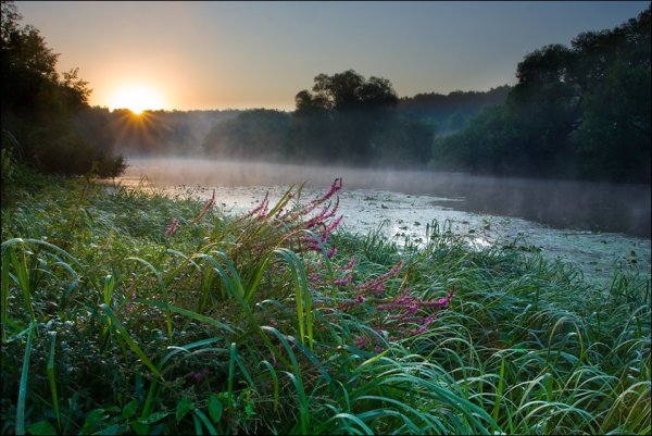 Прохладное лето