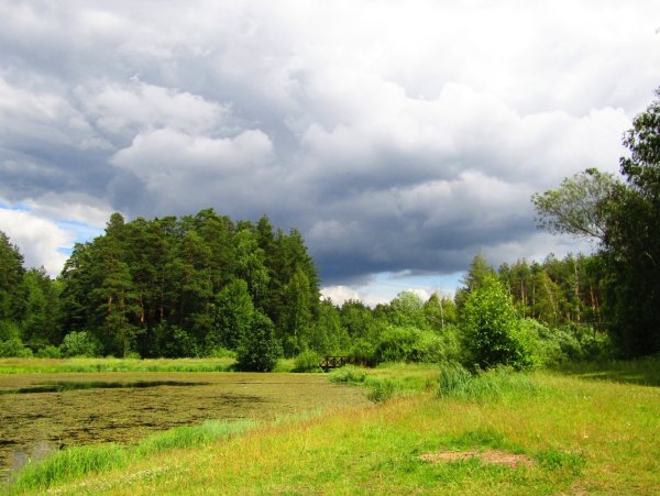 Прохладно летом