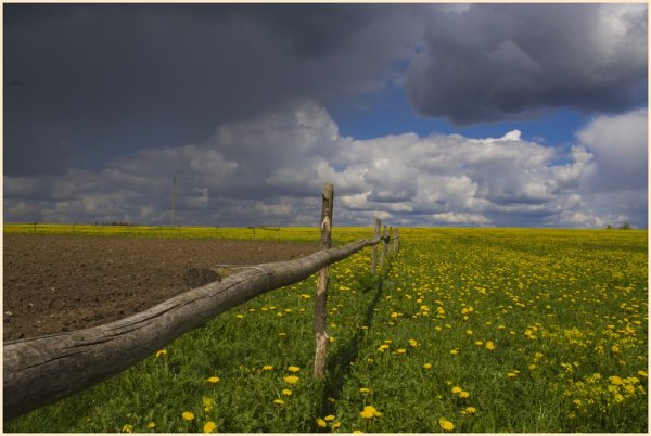 Прохладно летом