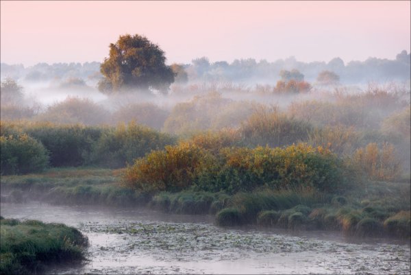 Августовский туман