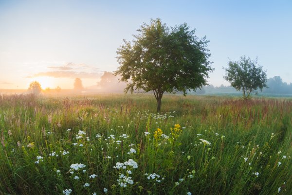 Утренний пейзаж