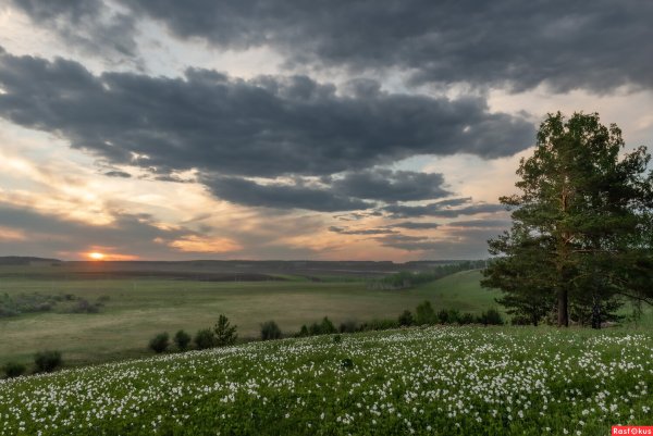 Прохладный пейзаж