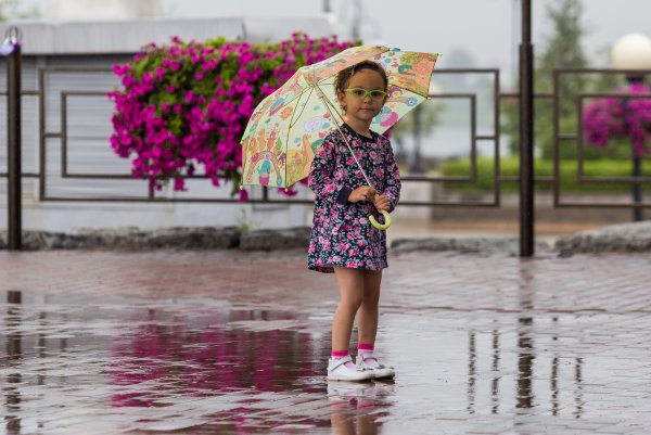 Прохладная погода летом