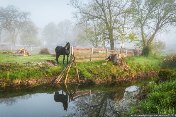 Лошадь в деревне